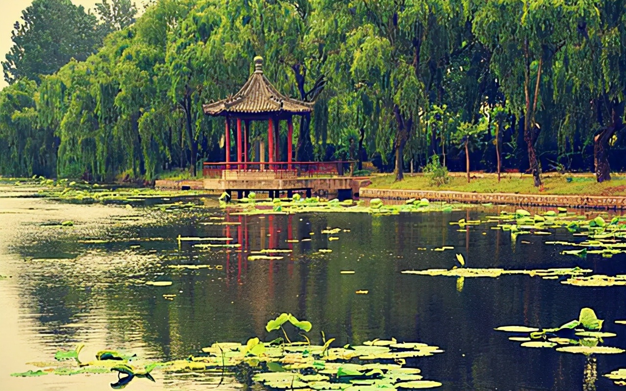 王祥卧冰求鲤深度揭秘,王祥卧冰求鲤简介