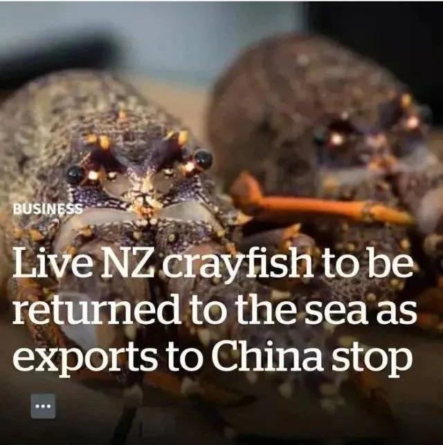 中国人不出门全世界会怎样,中国去哪的机票便宜