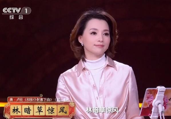 董卿带领龙洋上中国诗词大会,龙洋主持诗词大会董卿哪里去了