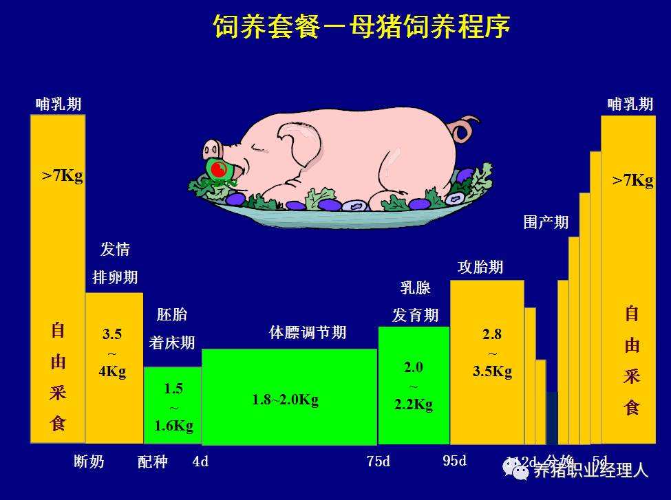 泌乳方法,泌乳的手法
