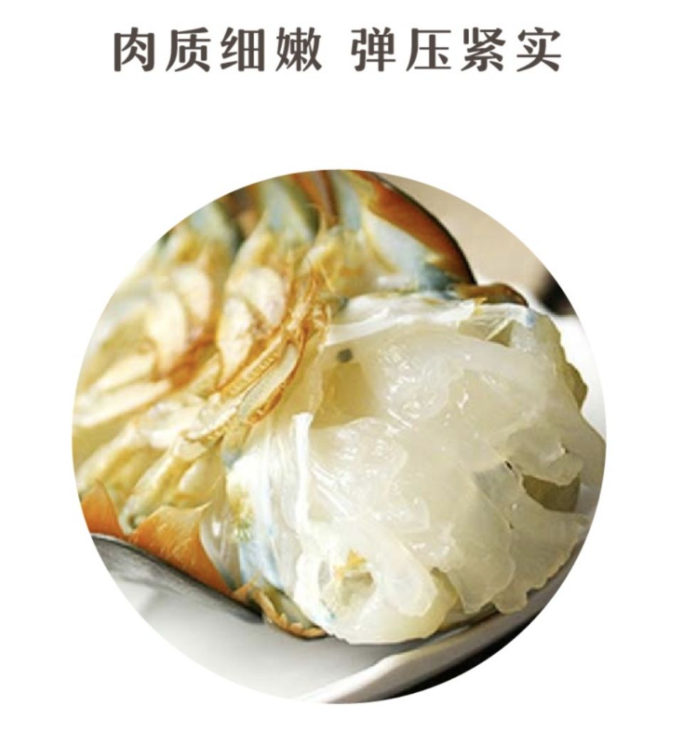 长春生鲜冷链配送,长春蔬果生鲜配送新鲜直达