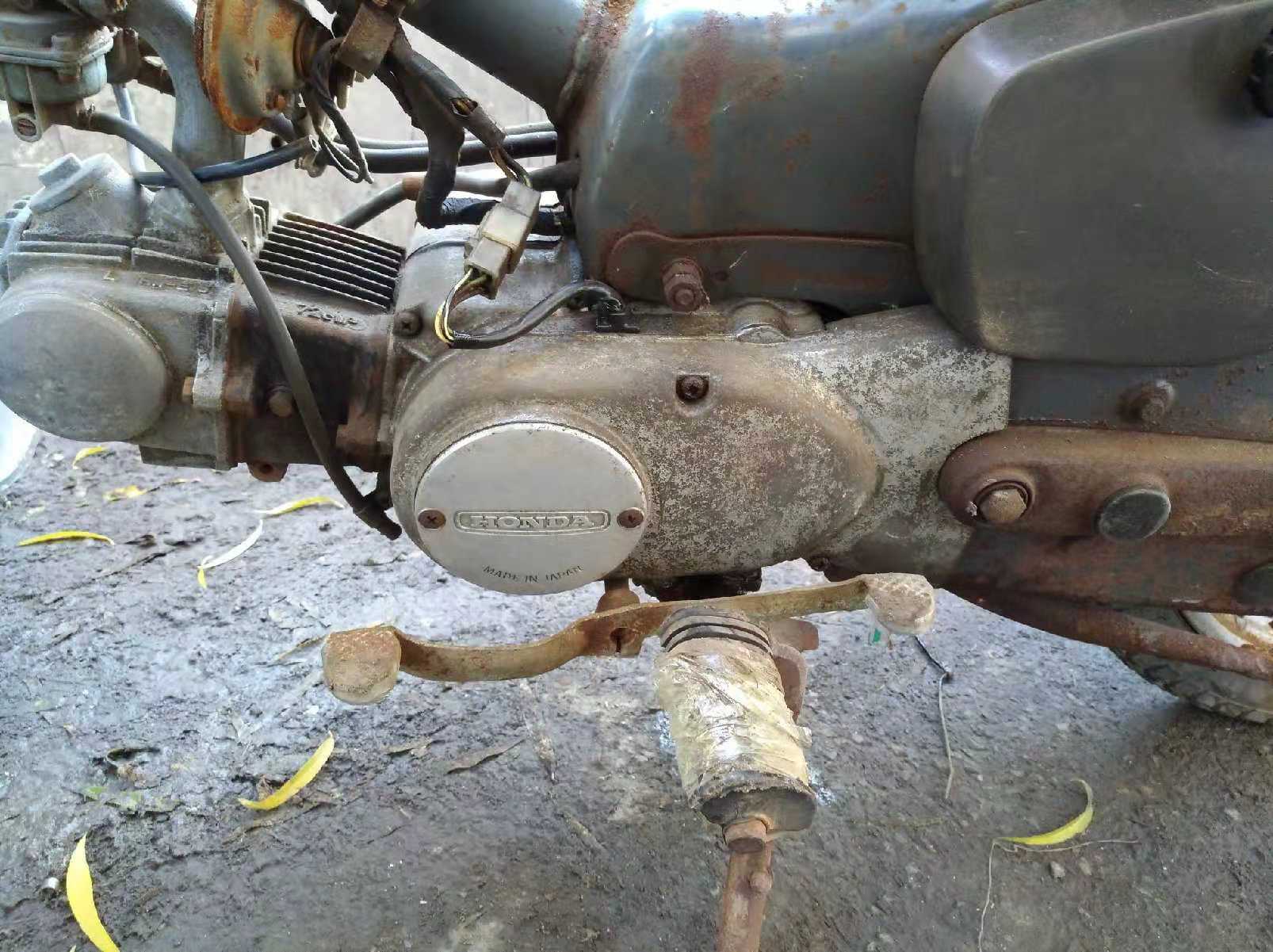 本田幼兽和威武的区别,本田幼兽多厉害