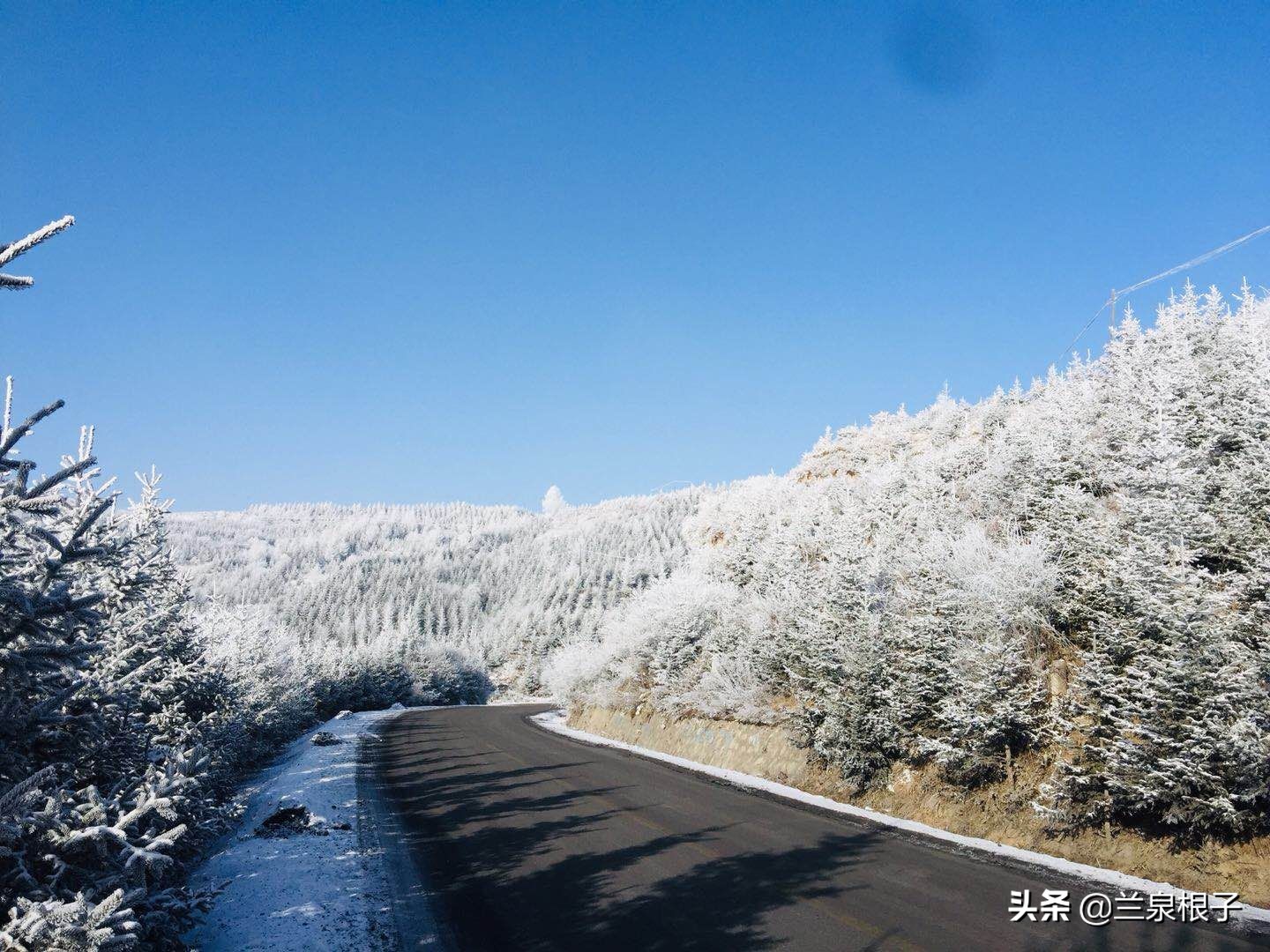 兰州市七里河区金色阳光幼儿园,金色阳光幼儿园大二班老师