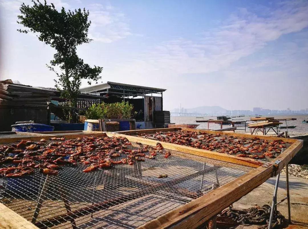 海味海鲜,海味干货天然海鲜