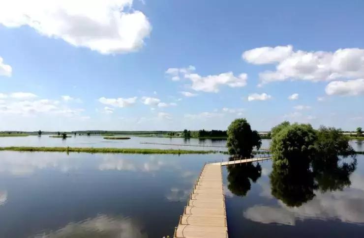 2024沈阳文旅项目,文旅项目能做吗