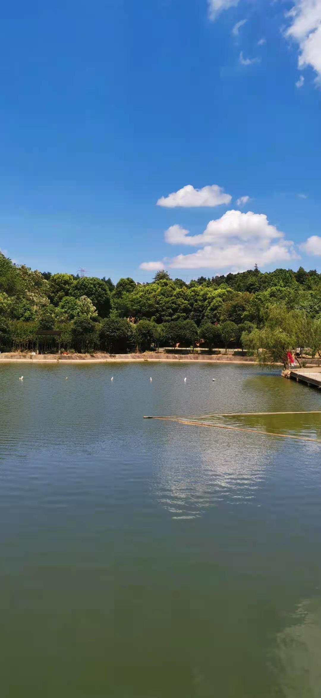 长沙十一周边农庄游最佳选择,长沙雨花区附近好玩的农家乐