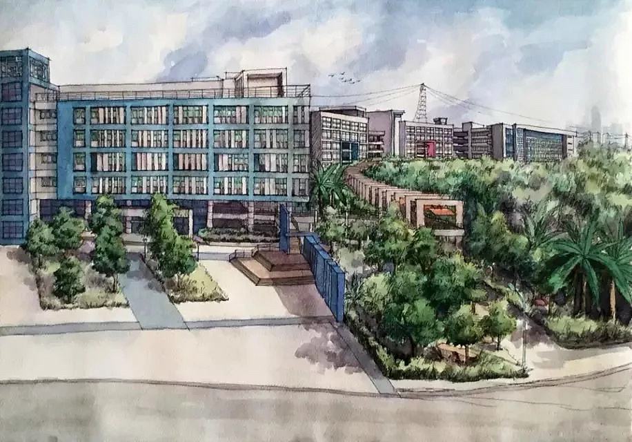 冬天到了的作文一年级,精选校园冬天的作文三篇