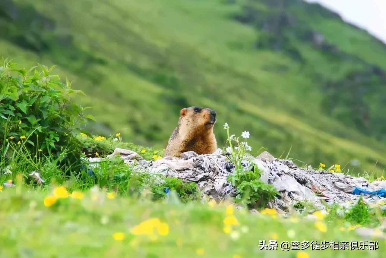 莫斯卡村距离成都多远,从莫斯卡村到成都有什么景点