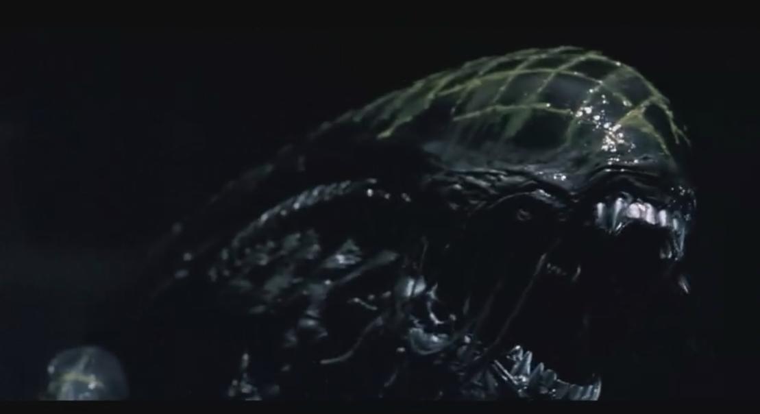 「推荐」《异形大战铁血战士》宇宙最强外星人之间的PK