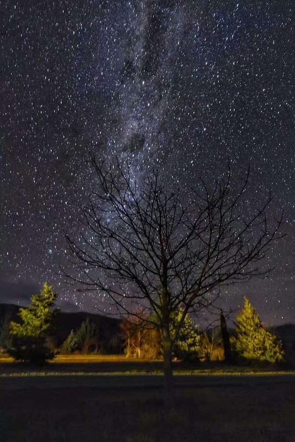 新西兰自由行攻略大全,当你想出去旅游时