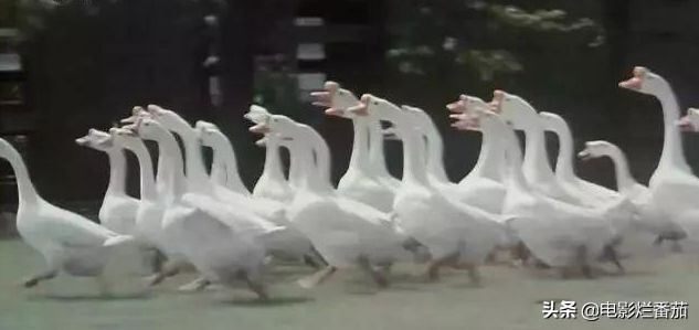 “我们都是小把戏”，这部92年神作，对成人世界的暗讽不输周星驰