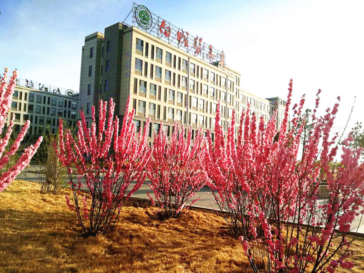 创新管理模式提升社区服务水平,创新管理提高效能