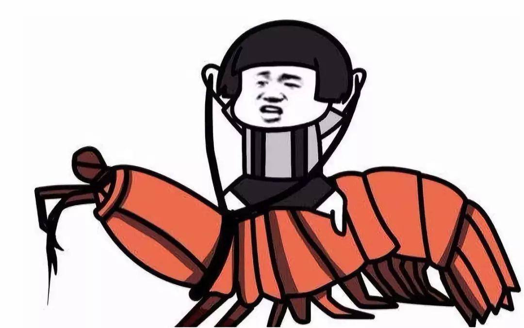 鳝鱼冷知识,冷知识第二季完整