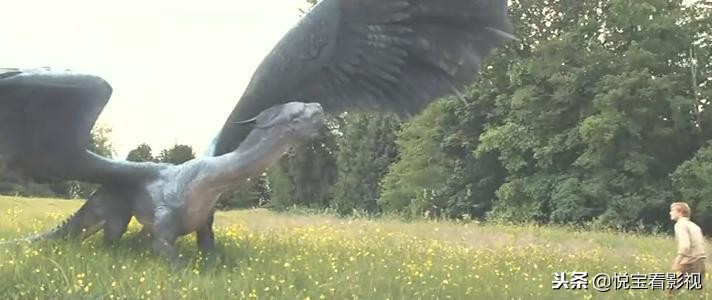 比较东方龙和西方龙的电影,电影中的西方龙对比东方龙