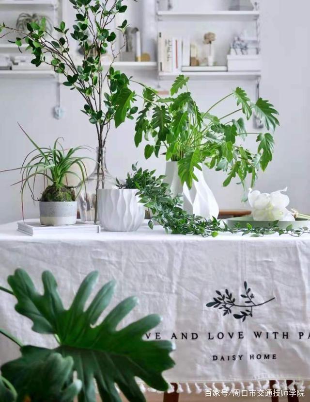 装修第一步先确定设计方案,准备装修第1步做什么