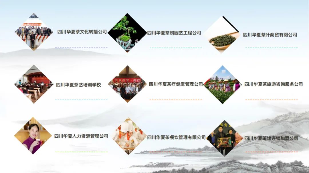 四川观茶｜华夏茶学携手湖南茶频道，打造茶文化最有价值网络主播