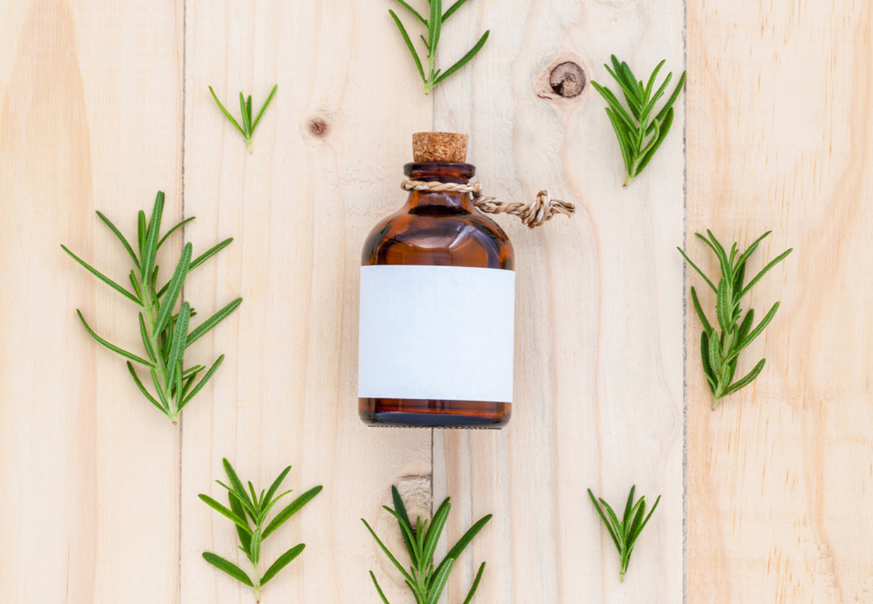 迷迭香—唤醒记忆留住青春