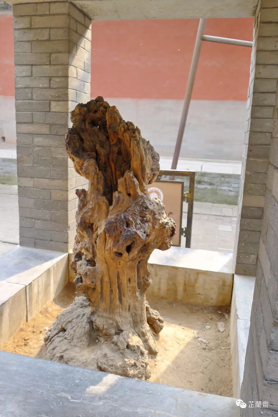 孔子修订的书,孔子修订六经什么意思