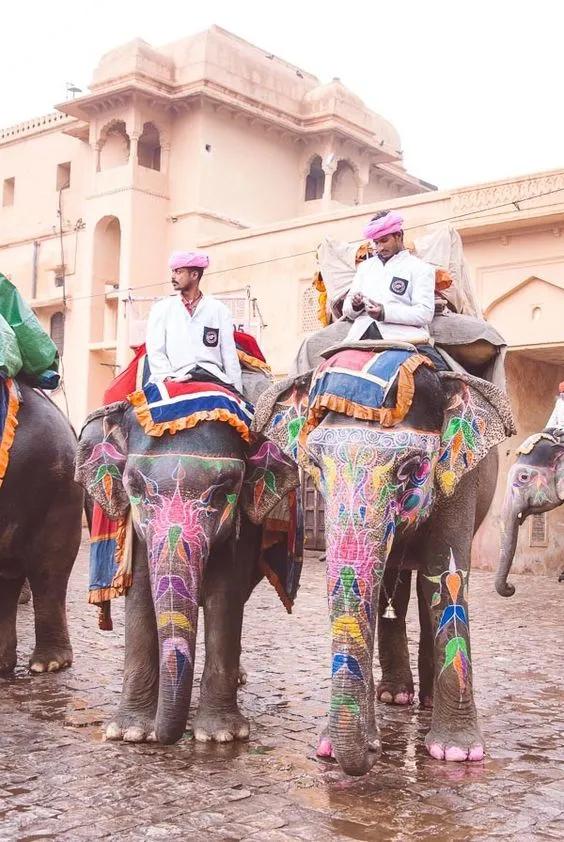 中国至今没被认全的20个邻居，个个身怀宝藏，你知道几个？