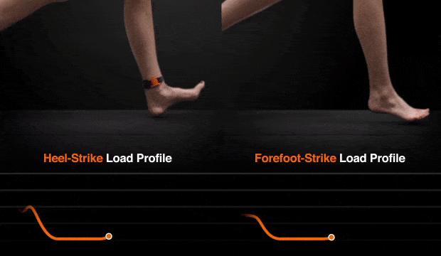 动物界跑步最快的是什么动物,动物界里跑得最快的