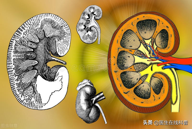 肾病的治疗有什么突破么,肾病得注意什么