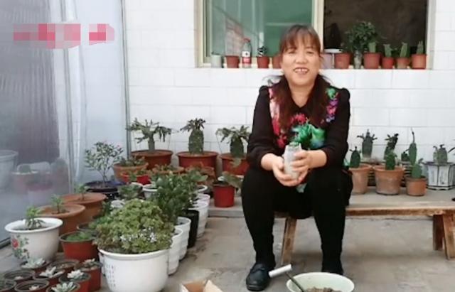 多肉长不大怎么修剪,多肉小苗移盆怎么配土