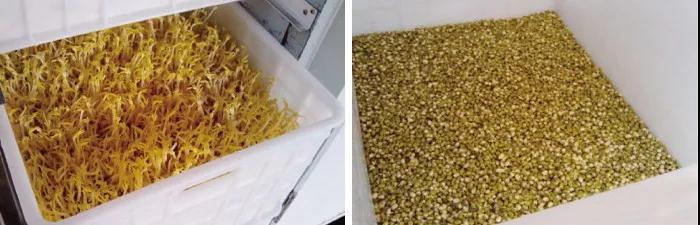 家用全自动智能多功能豆芽机,好机汇全自动豆腐机