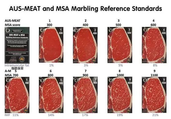 藏不住了!牛肉中的“爱马仕”—澳洲和牛,了解一下?