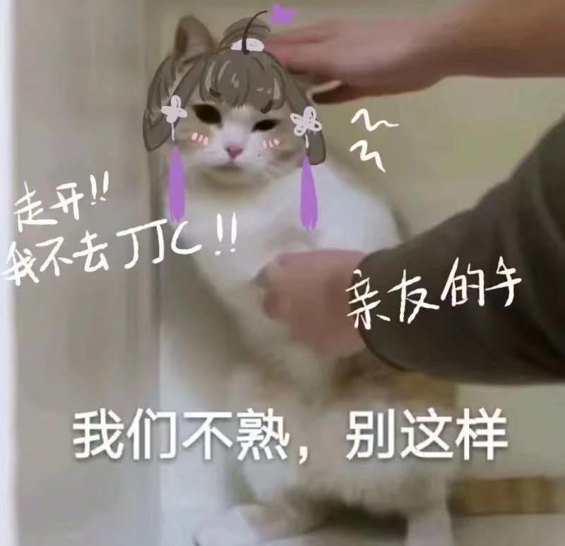 为什么要违背祖训?剑三奶花交星楼奶队友,却被嫌弃怎么被抓死了