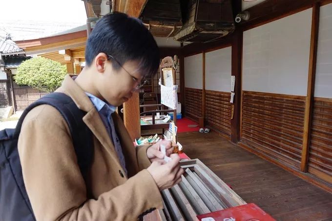 日本的樱花又开了哦,日本樱花又开了是什么梗