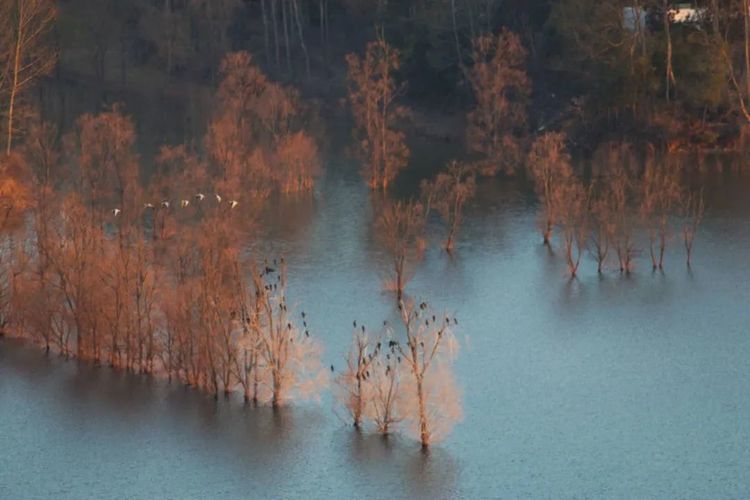 这座低调的小城,凭什么跻身云南6大国家历史文化名城之列?