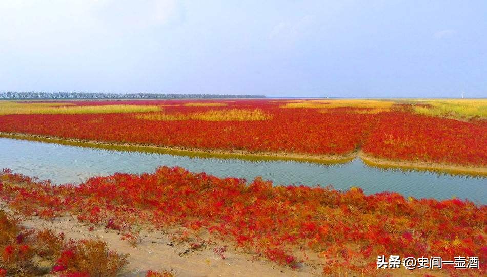 江苏一区是哪里的,江苏大丰麋鹿之乡