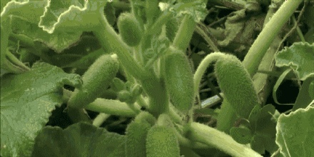 有哪些非常冷门的冷知识,那些非常冷门但实用的冷知识