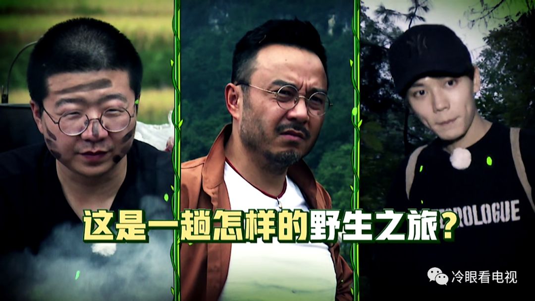 野生厨房深度解析,野生厨房都吃过哪些东西