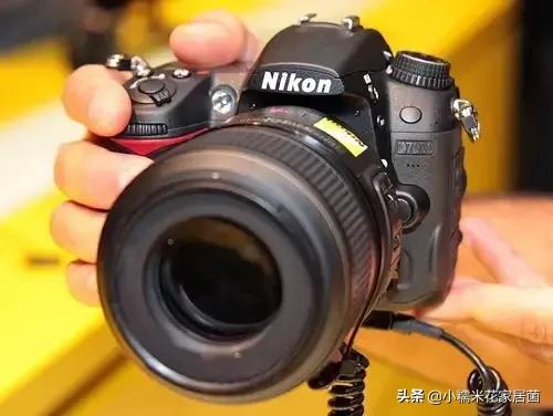 佳能和尼康单反相机锐度设置技巧,佳能和尼康哪个品牌的单反相机好