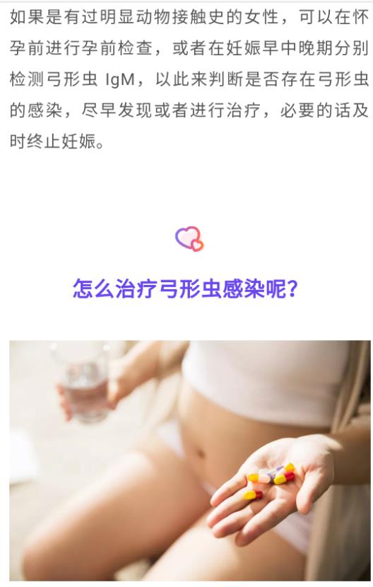 怀孕养宠物，能养，猫狗没有“弓形虫”没问题