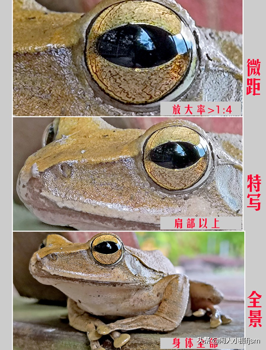 微距和一般摄影有什么区别,摄影写实和写意的区别