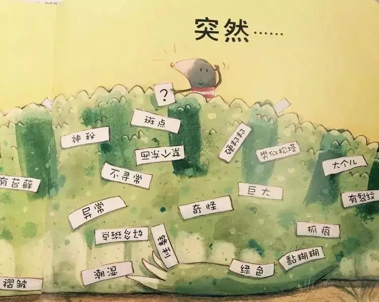 悦宝园主题课程推荐:鳄鱼|AlligatorsandCrocs