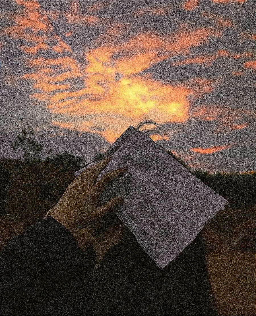 新买的手机没有应用怎么办,新买的手机没有网怎么办