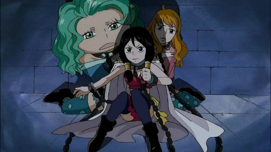 海贼王十大最鸡肋恶魔果实,海贼王吃了恶魔果实的动物