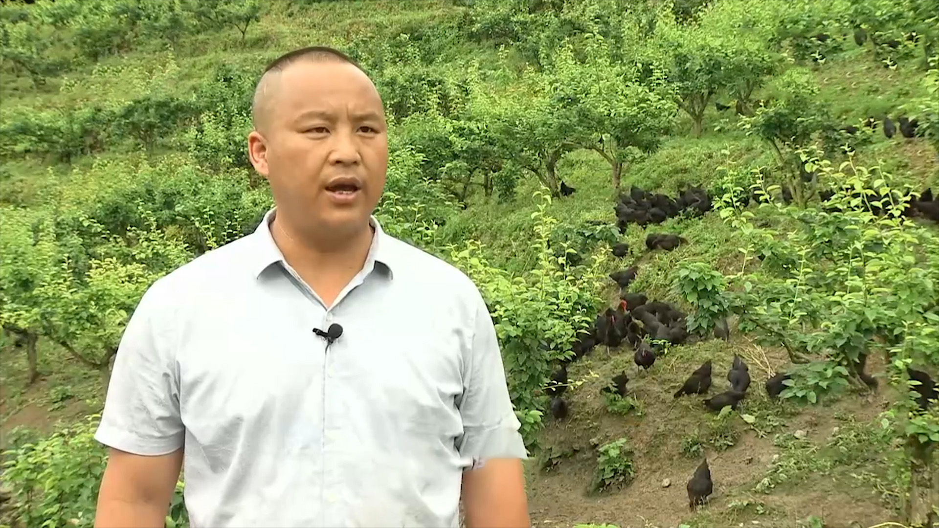 老兵创业的利润,老兵创业致富