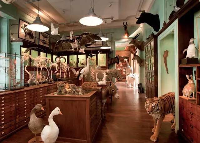 巴黎左岸潮流,巴黎左岸怎么来的