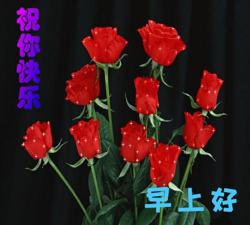 早上好问候语2019最火图片,微信早上好最暖心祝福问候语图片