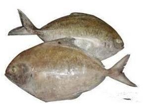 看图识海鲜，这些水产海鲜你都认识吗？