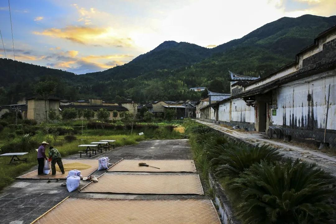 古田县乡村振兴示范点,古田县未来发展方向