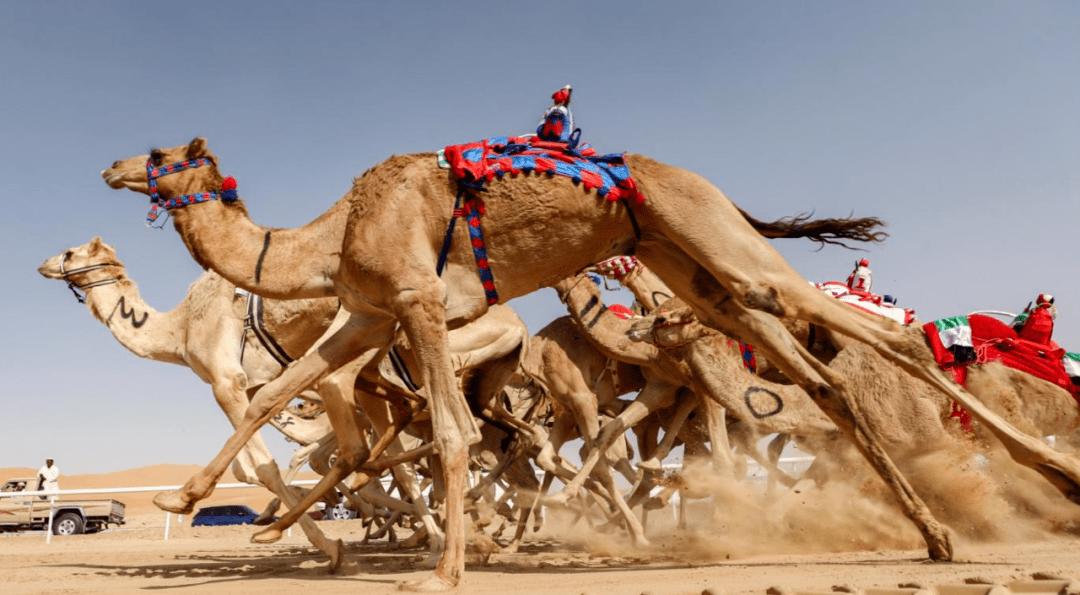 你不知道的10条国家冷知识——阿布扎比(迪拜的老大哥!)