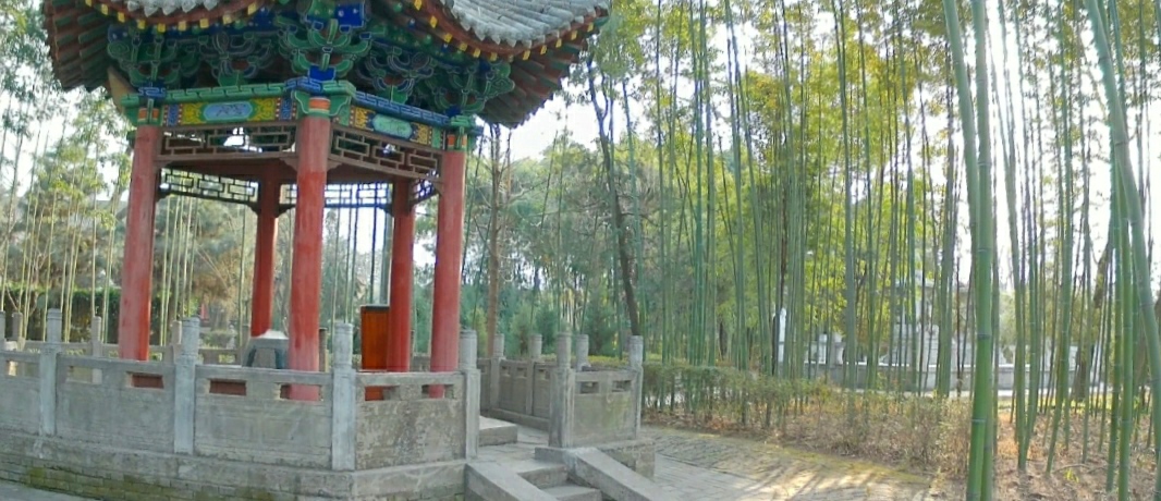 草堂寺塔,草堂寺的塔