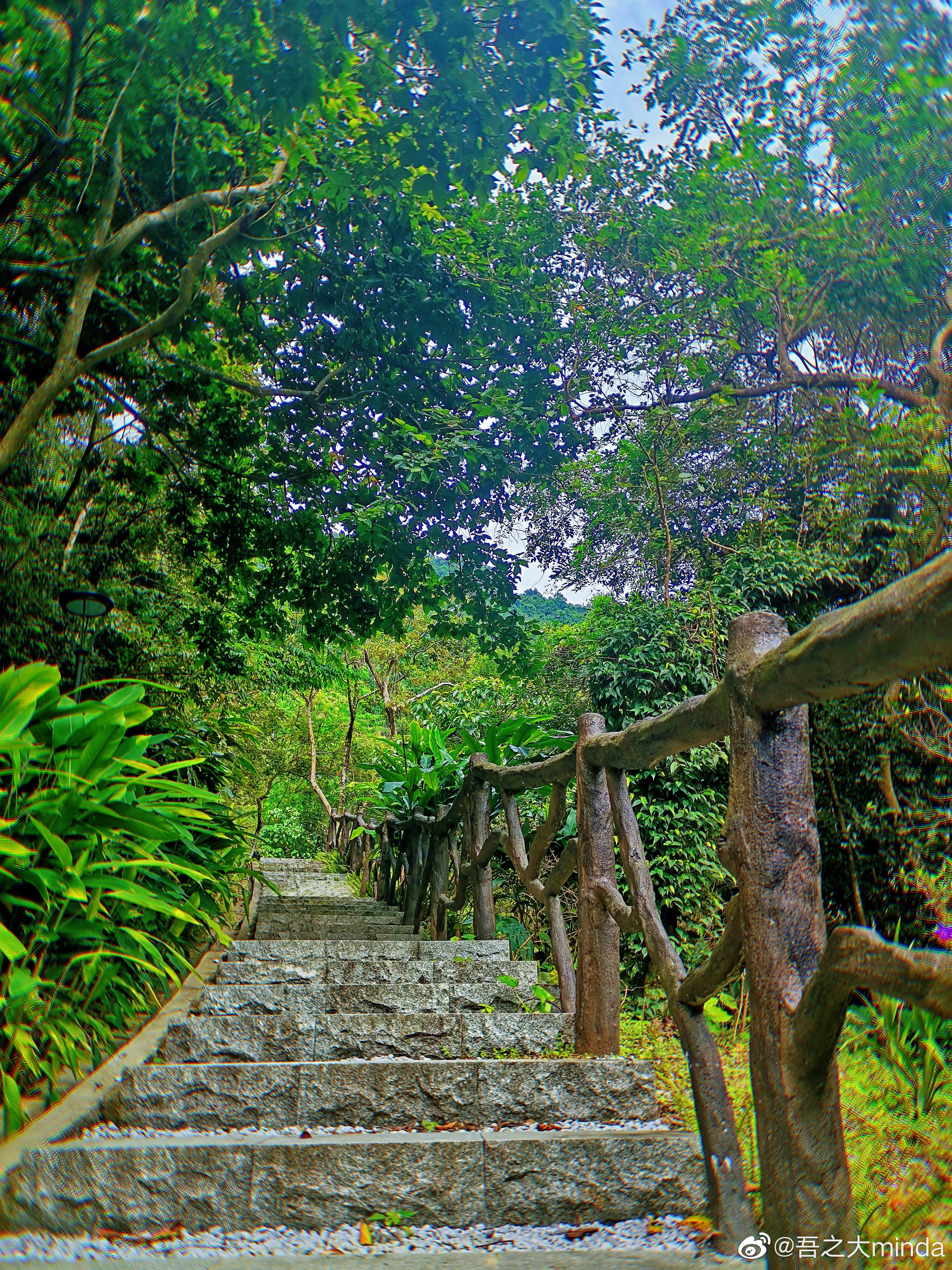 梧桐山下幽径,梧桐山下清风明月