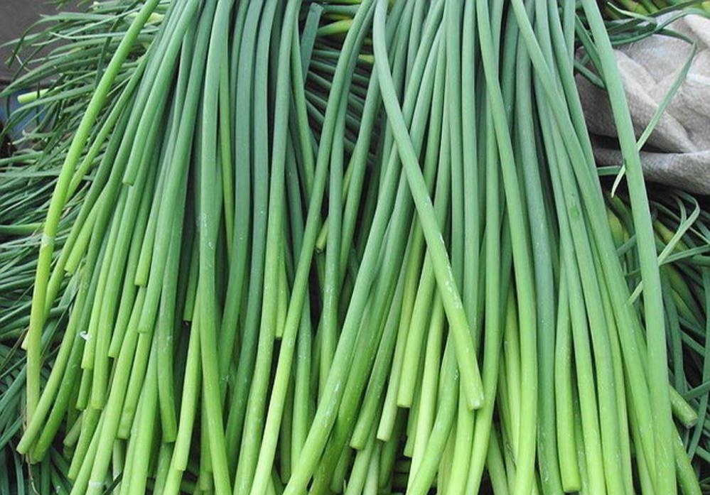 2023年蒜苔价格最新行情走势,2020年宾川大蒜蒜苔价格