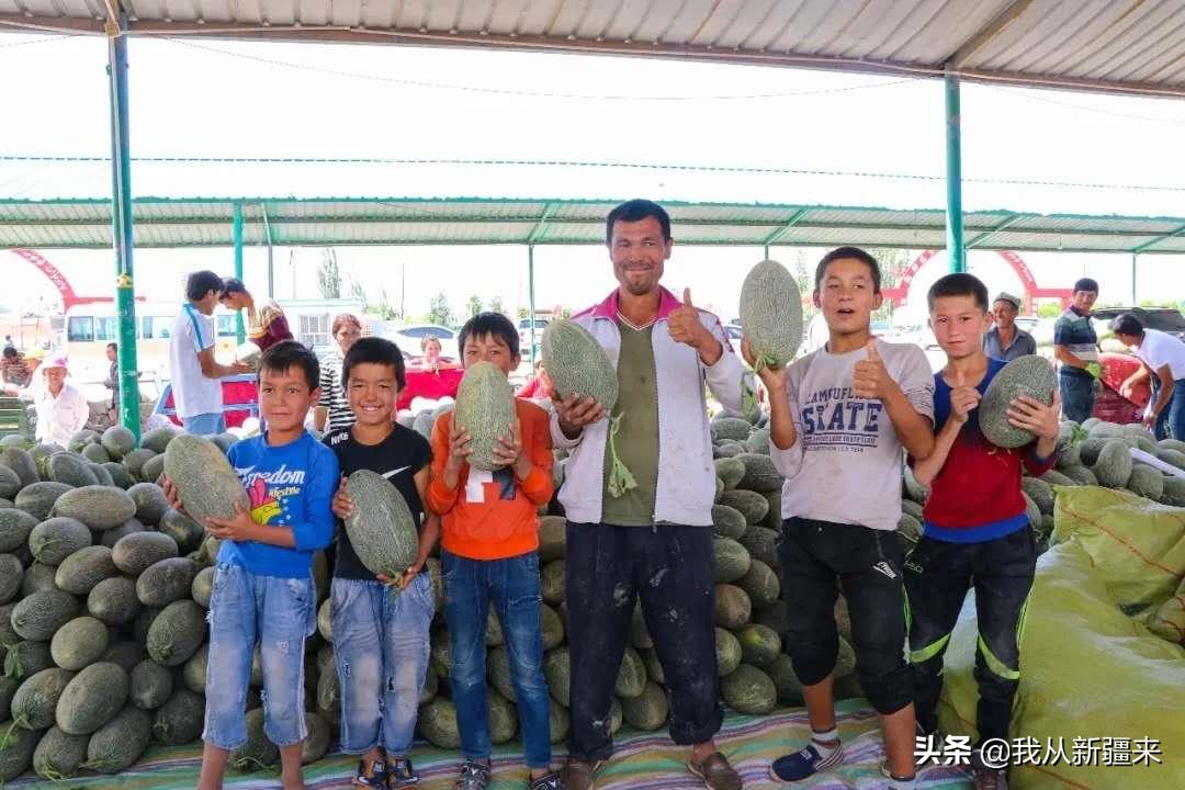 除了伽师瓜，你对伽师一无所知